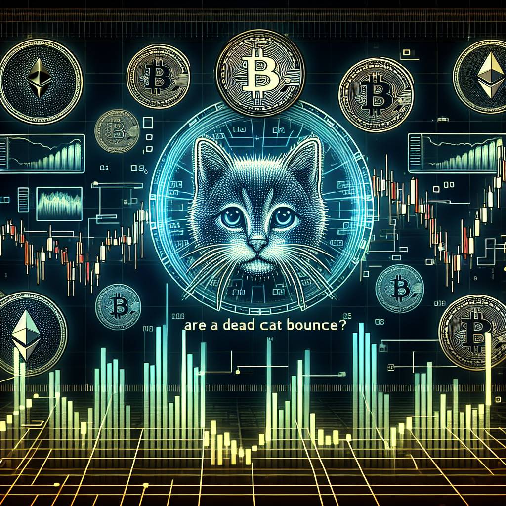 What are the implications of a 'dead cat bounce' for bitcoin investors?