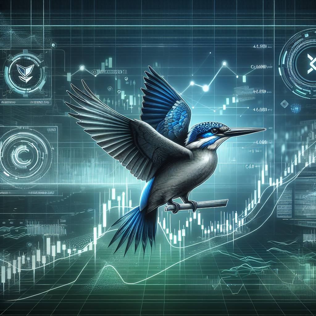 How does thekingfisher.io help investors manage their digital assets?