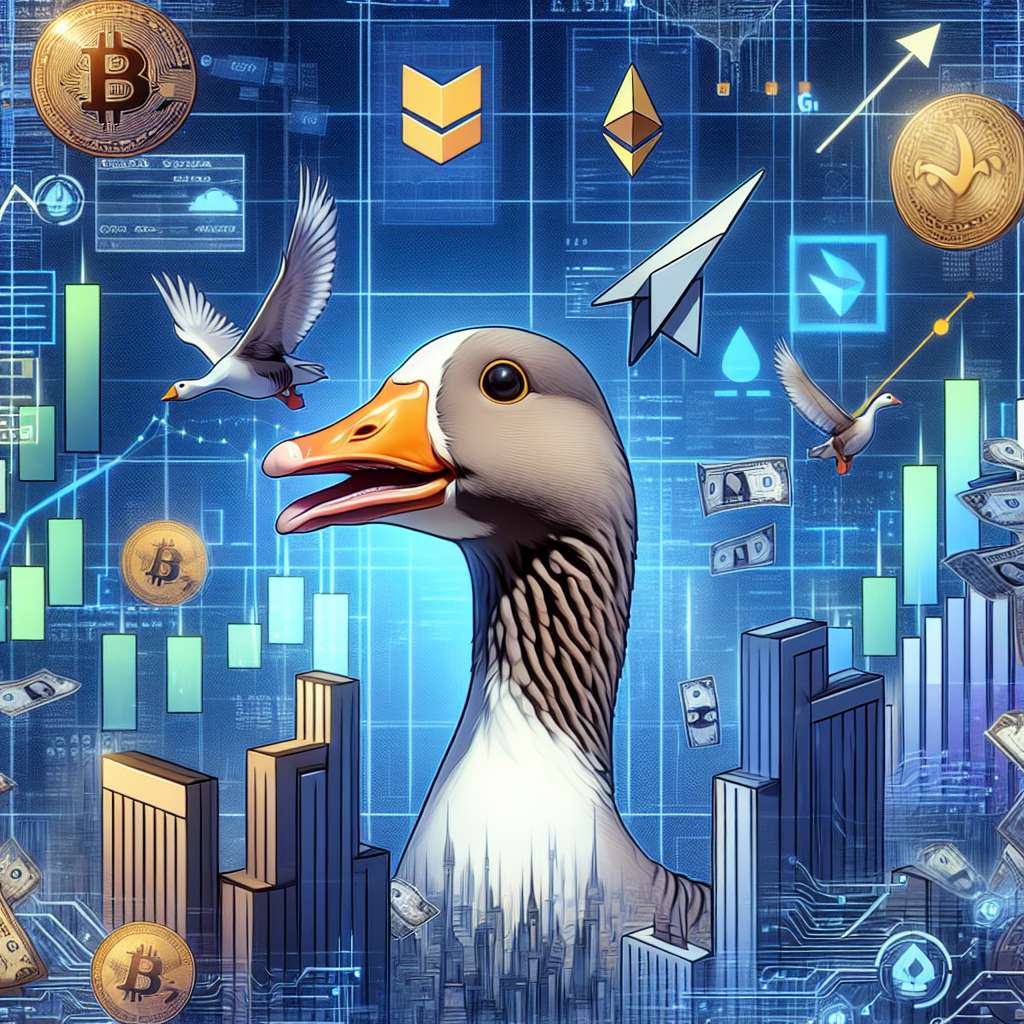 How can derpy goose be used as a payment method in the cryptocurrency industry?