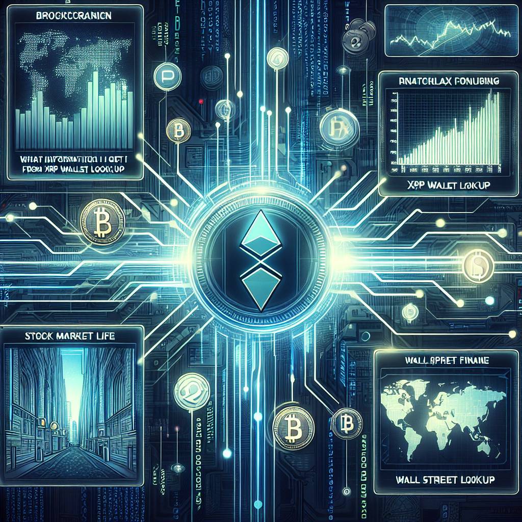 What information can I learn from a Bitcoin transaction ID lookup?