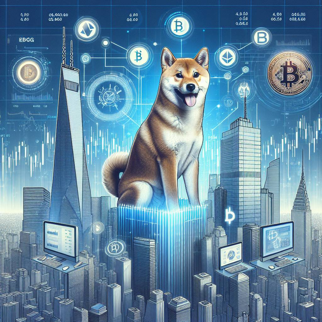 What is the outlook for Shiba Inu coin in the coming months?